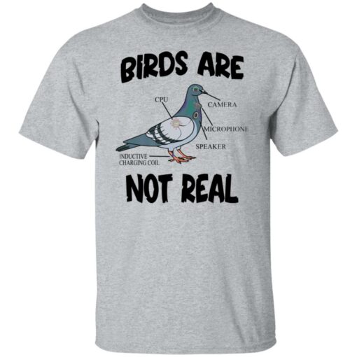 Birds are not real shirt $19.95 redirect03092022050337