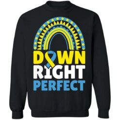 Down right perfect shirt $19.95