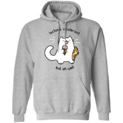 Cat lactose intolerant but oh well shirt $19.95