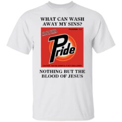 What can wash away my sins pride nothing but the blood of Jesus shirt $19.95 redirect07132022050753 1