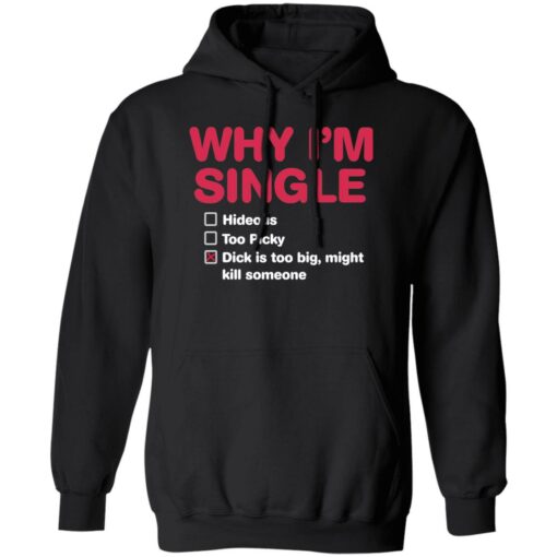 Why i'm single hideous to picky dick is too big might kill someone shirt $19.95 redirect09192022220957 1