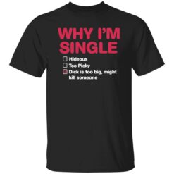 Why i'm single hideous to picky dick is too big might kill someone shirt $19.95