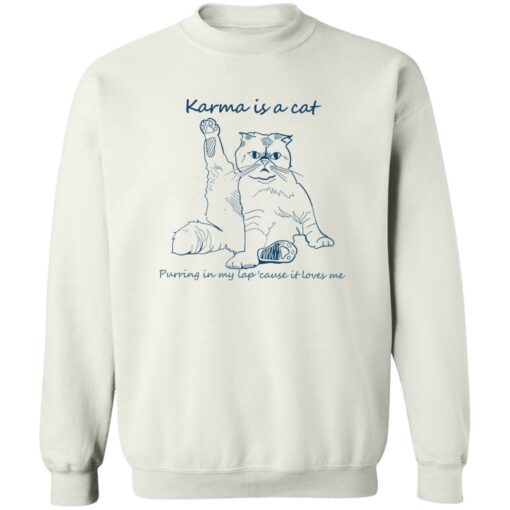 Karma is a cat purring in my lap cause it loves me shirt $19.95 redirect11022022031150 4