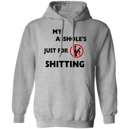 A**hole Just For Sh*tting Shirt $19.95