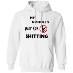 A**hole Just For Sh*tting Shirt $19.95