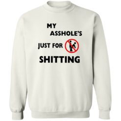 A**hole Just For Sh*tting Shirt $19.95