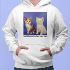 Cat Gaslighting Isn’t Real You Crazy B*tch Ladies Hoodie