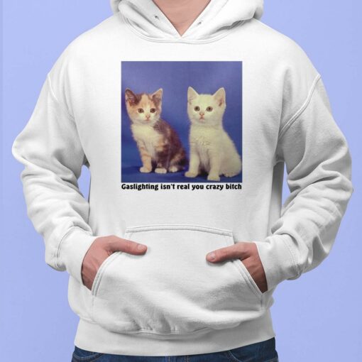 Cat Gaslighting Isn’t Real You Crazy B*tch Ladies Hoodie