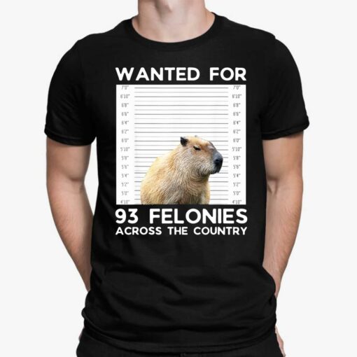 Capybara Wanted For 93 Felonies Across The Country Shirt