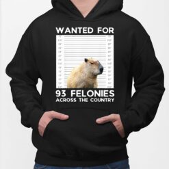 Capybara Wanted For 93 Felonies Across The Country Hoodie