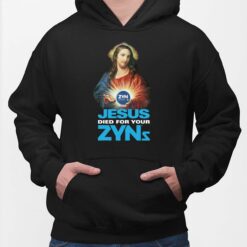 Jesus Died For Your Zyns Hoodie