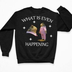 What Is Even Happening Frog Sweatshirt, Hoodie, Shirt, Women Tee