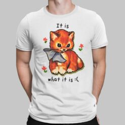 Cat It Is What Is It Shirt, Hoodie, Sweatshirt, Women Tee