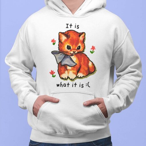 Cat It Is What Is It Shirt, Hoodie, Sweatshirt, Women Tee