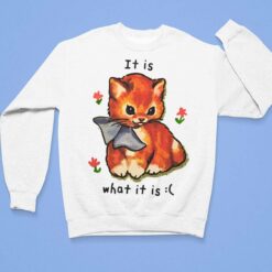 Cat It Is What Is It Shirt, Hoodie, Sweatshirt, Women Tee $19.95