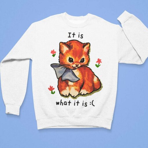 Cat It Is What Is It Shirt, Hoodie, Sweatshirt, Women Tee $19.95
