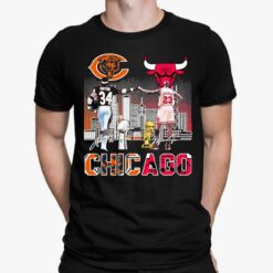 Chicago Shirt, Hoodie, Sweatshirt, Women Tee