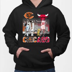 Chicago Shirt, Hoodie, Sweatshirt, Women Tee