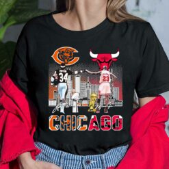 Chicago Shirt, Hoodie, Sweatshirt, Women Tee