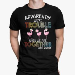 Flamingos Apparently We're Trouble When We Are Together Who Knew Shirt, Hoodie, Sweatshirt, Women Tee