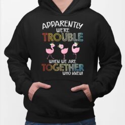 Flamingos Apparently We're Trouble When We Are Together Who Knew Shirt, Hoodie, Sweatshirt, Women Tee