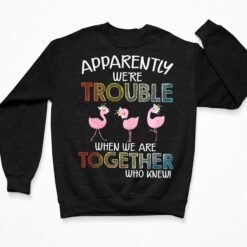 Flamingos Apparently We're Trouble When We Are Together Who Knew Shirt, Hoodie, Sweatshirt, Women Tee $19.95