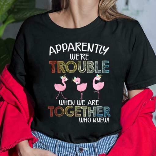 Flamingos Apparently We're Trouble When We Are Together Who Knew Shirt, Hoodie, Sweatshirt, Women Tee