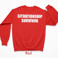 Situationship Survivor Shirt, Hoodie, Sweatshirt, Women Tee $19.95