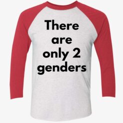 There Are Only 2 Genders Shirt, Hoodie, Sweatshirt, Women Tee $19.95