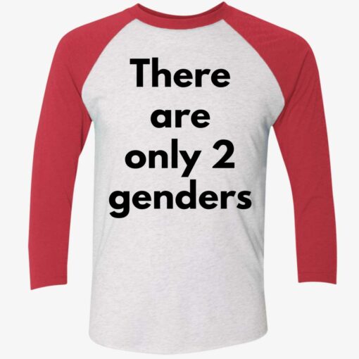 There Are Only 2 Genders Shirt, Hoodie, Sweatshirt, Women Tee $19.95
