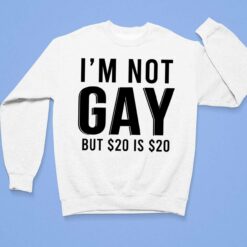 I'm Not Gay But $20 Is $20 Shirt, Hoodie, Sweatshirt, Women Tee $19.95