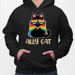 LGBT Ally Cat Be Kind Gay Shirt, Hoodie, Sweatshirt, Women Tee