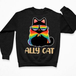 LGBT Ally Cat Be Kind Gay Shirt, Hoodie, Sweatshirt, Women Tee $19.95