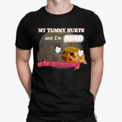 My Tummy Hurts I’m Mad At The Government Fat Frog T-Shirt, Hoodie, Women Tee, Sweatshirt