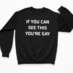 If You Can See This You’re Gay Shirt, Hoodie, Women Tee, Sweatshirt $19.95