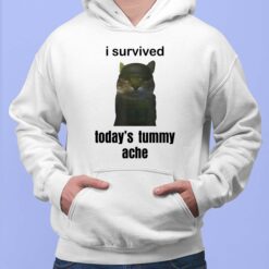 I Survived Today's Tummy Ache Shirt $19.95