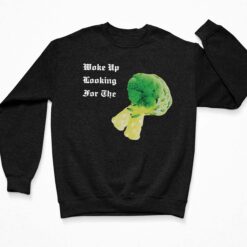 Kendrick Lamar Woke Up Looking For The Broccoli Shirt $19.95