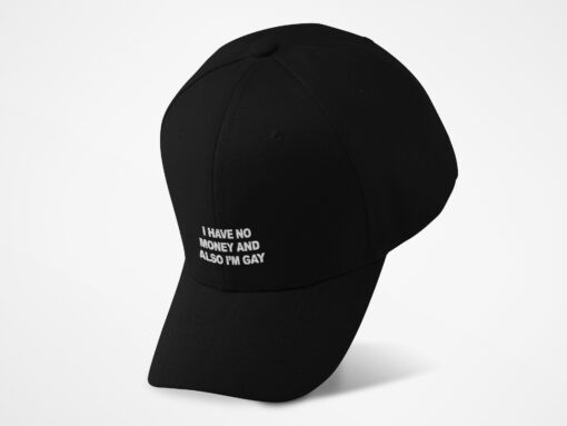 I Have No Money And Also I'm Gay Hat $29.95