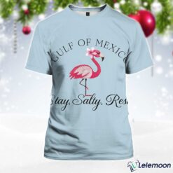 Light Blue Gulf Of Mexico Stay Salty Resist Flamingo Printed V-Neck T-shirt